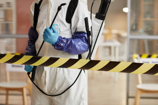 Professional Sewage Cleanup technician working in Golconda, NV